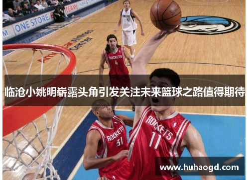 临沧小姚明崭露头角引发关注未来篮球之路值得期待